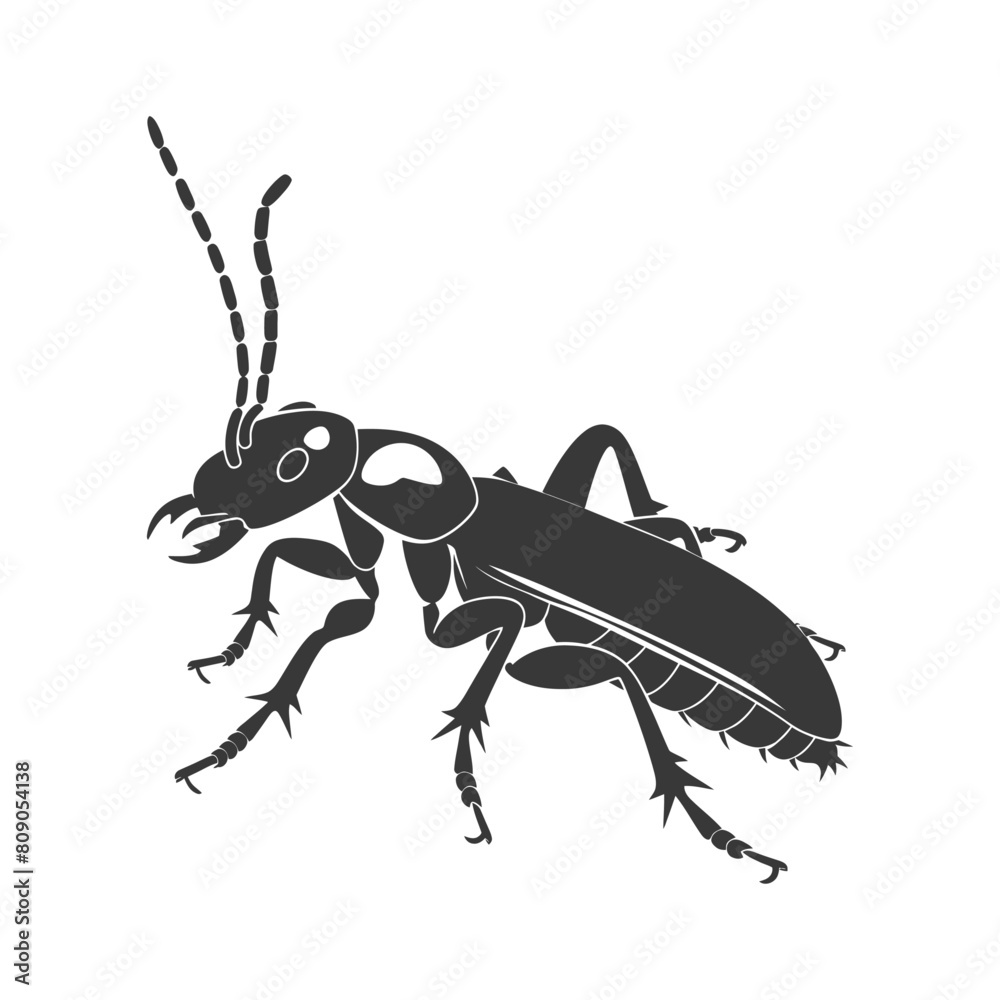 Silhouette termite animal full body black color only Silhouette termite animal full body black color only