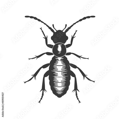 Silhouette termite animal full body black color only