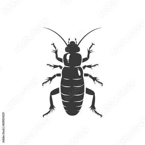 Silhouette termite animal full body black color only