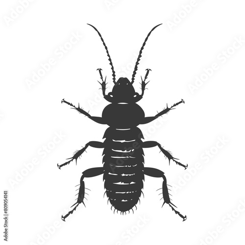 Silhouette termite animal full body black color only
