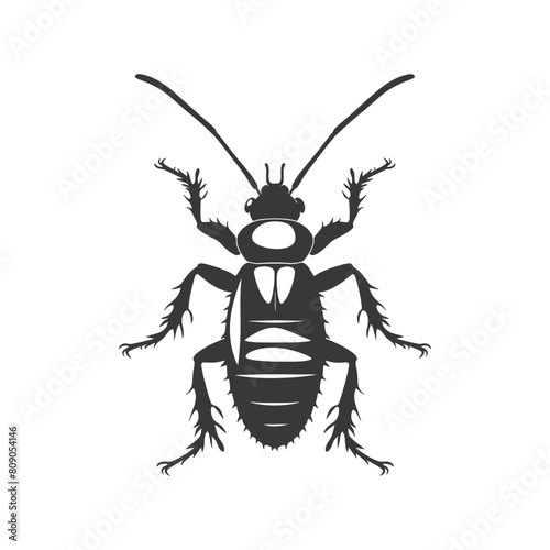 Silhouette termite animal full body black color only