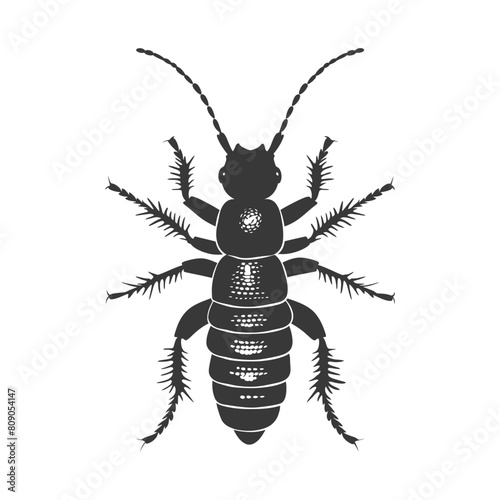 Silhouette termite animal full body black color only