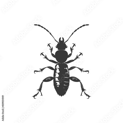 Silhouette termite animal full body black color only