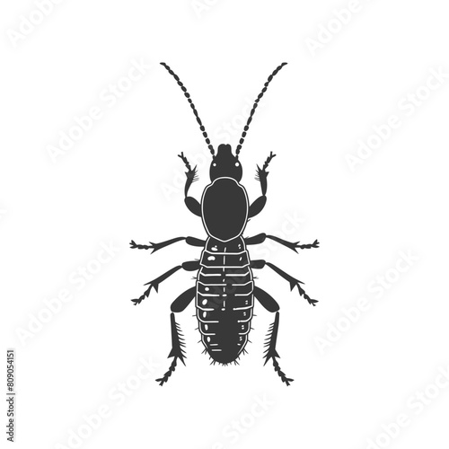 Silhouette termite animal full body black color only