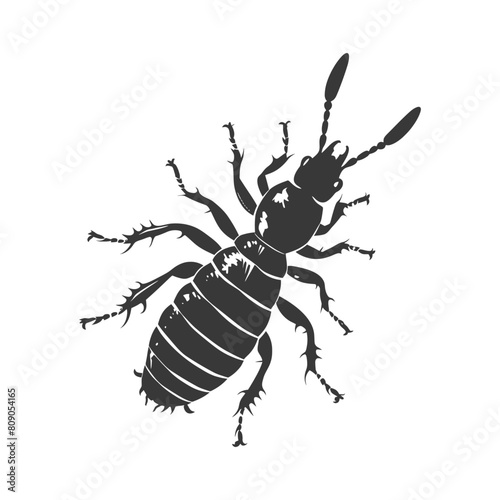 Silhouette termite animal full body black color only