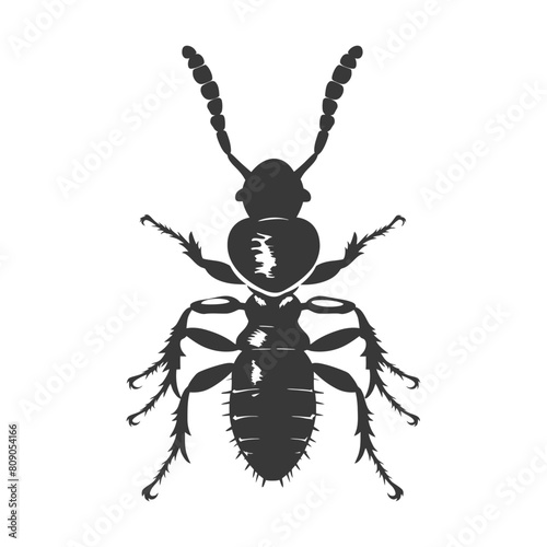 Silhouette termite animal full body black color only