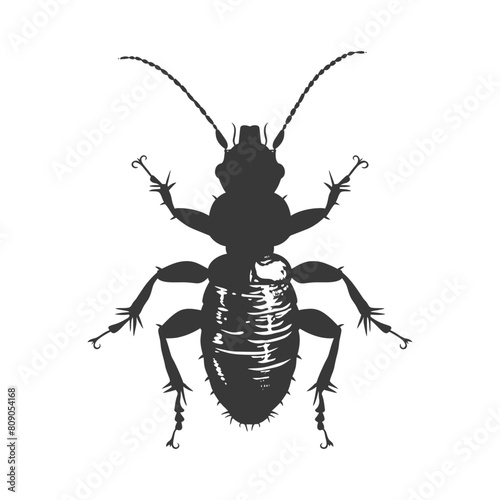Silhouette termite animal full body black color only