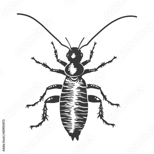Silhouette termite animal full body black color only