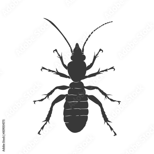 Silhouette termite animal full body black color only