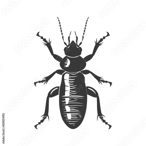 Silhouette termite animal full body black color only