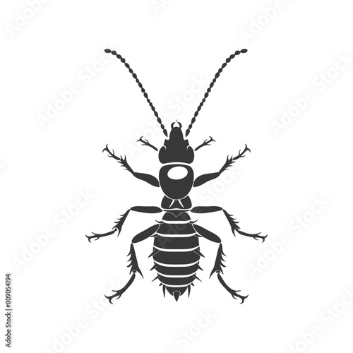 Silhouette termite animal full body black color only