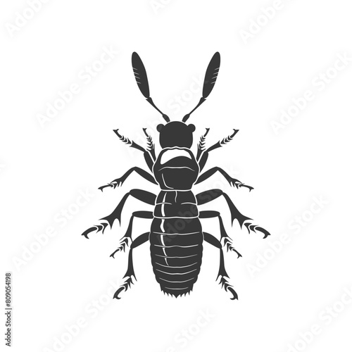 Silhouette termite animal full body black color only