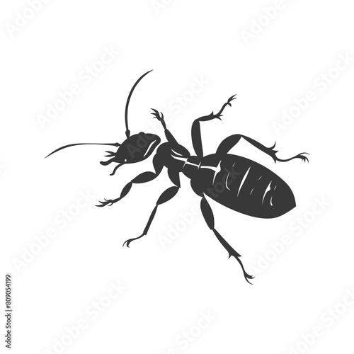 Silhouette termite animal full body black color only