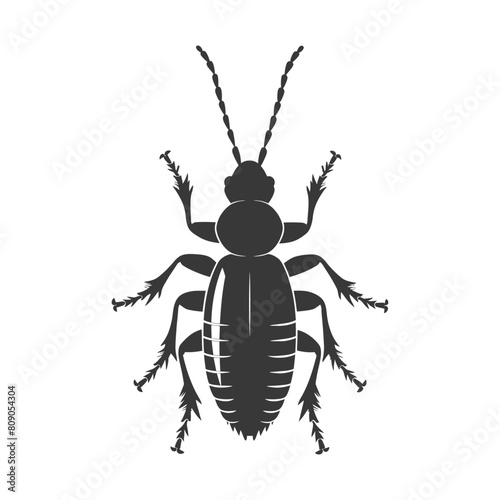 Silhouette termite animal full body black color only