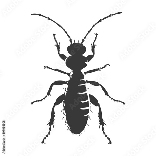 Silhouette termite animal full body black color only