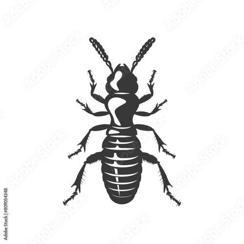 Silhouette termite animal full body black color only