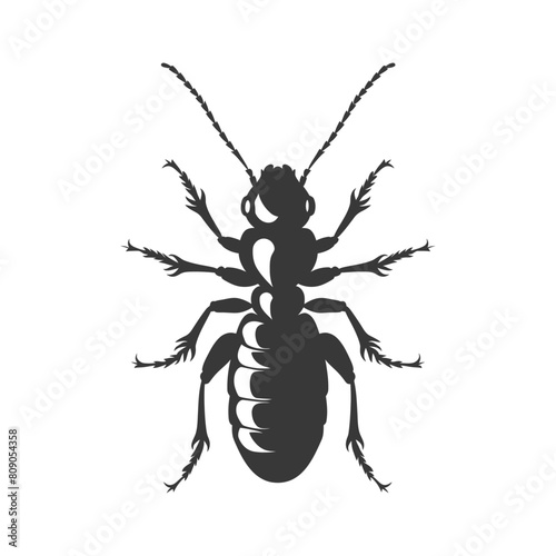 Silhouette termite animal full body black color only
