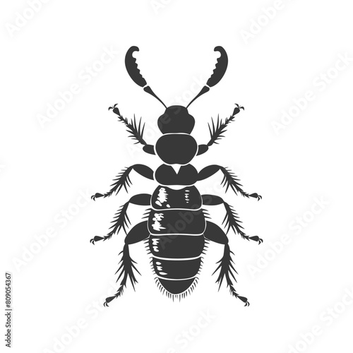 Silhouette termite animal full body black color only