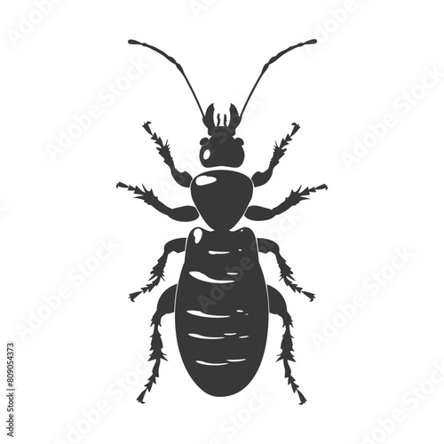 Silhouette termite animal full body black color only