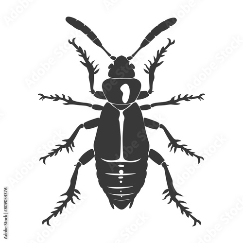 Silhouette termite animal full body black color only