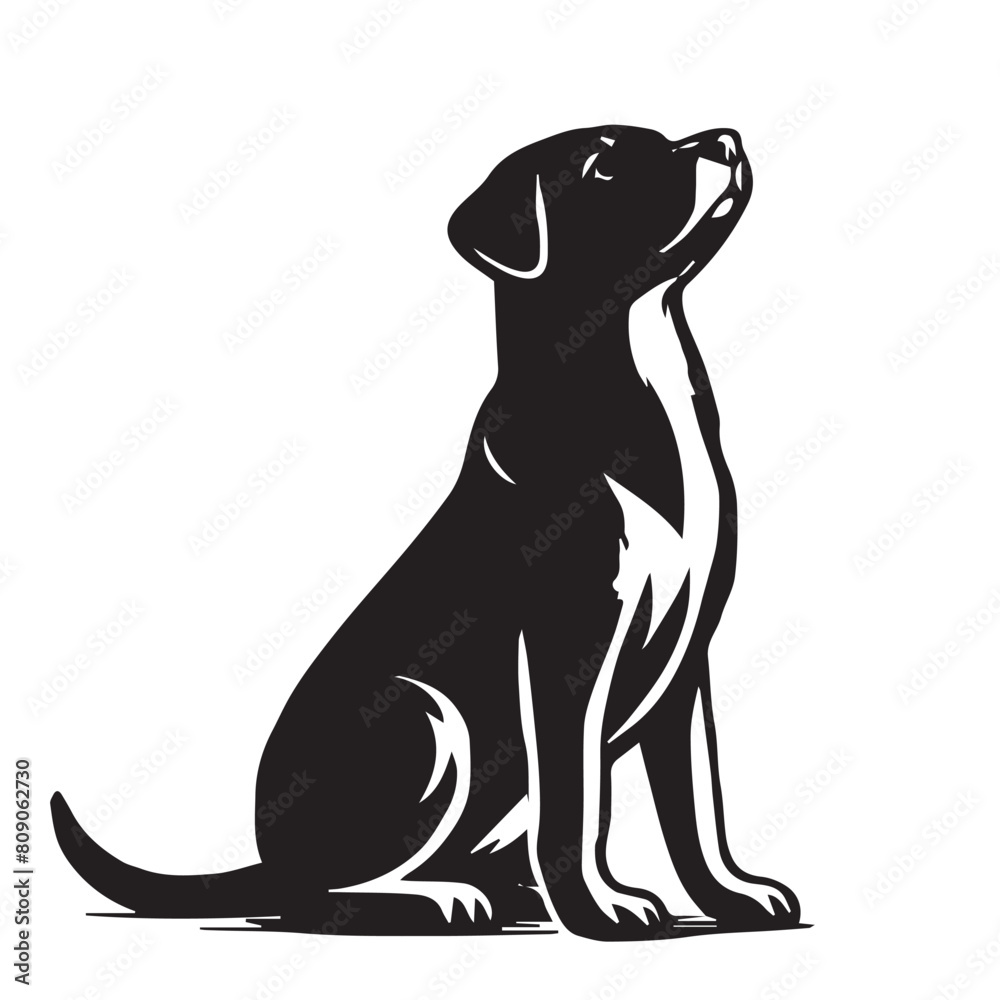 dog silhouette ,dog  silhouette images  ,dog silhouette svg  ,dog silhouette png