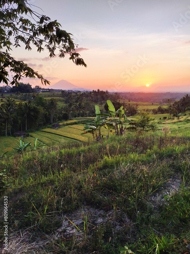 View of Jatiluwih  rice terraces  on the island of Bali  Indonesia