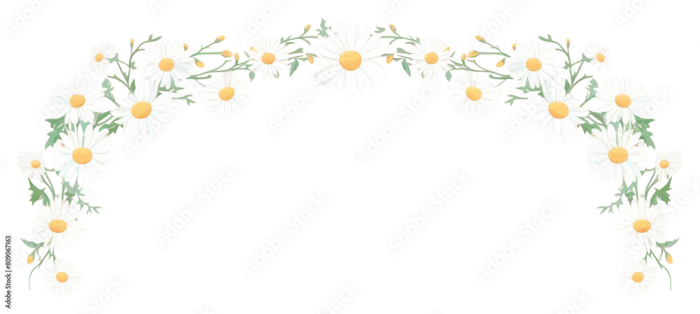 PNG  Daisy border frame backgrounds pattern flower