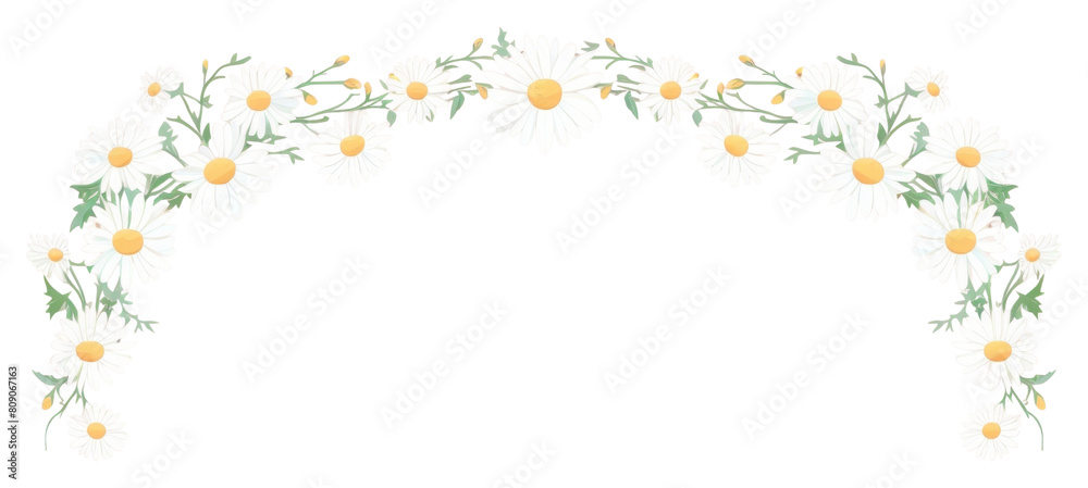 PNG Daisy border frame backgrounds pattern flower PNG Daisy border frame backgrounds pattern flower