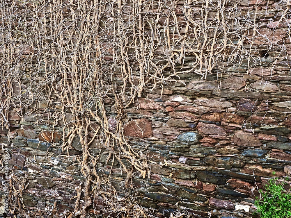 Viereckiger Turm in Zell an der Mosel