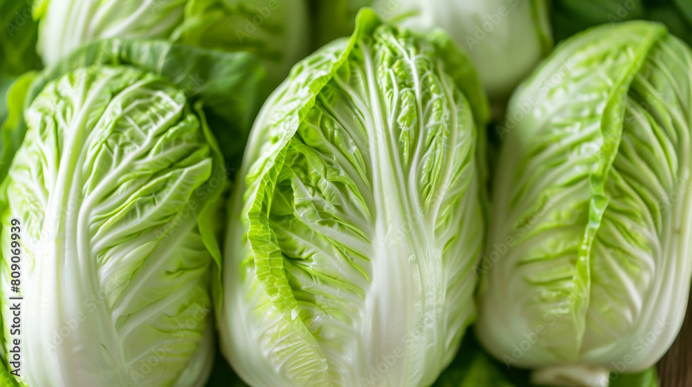 Fototapeta premium Fresh green Chinese cabbage Napa cabbage close-up, ideal for healthy eating, vegetarian recipes, and Asian cuisine-related concepts