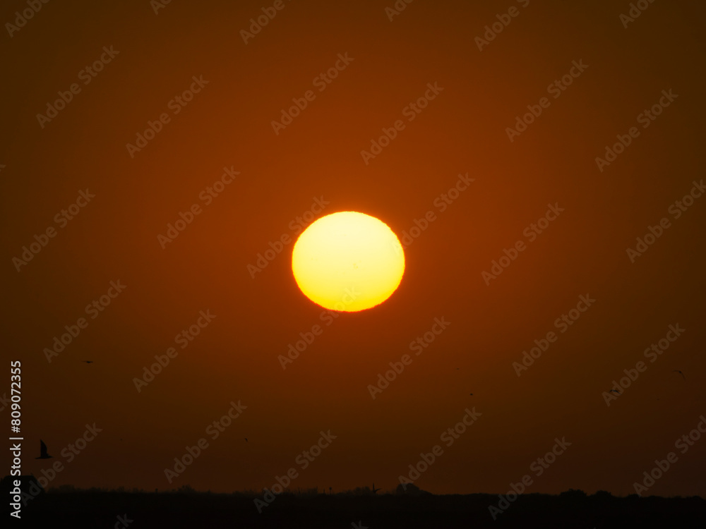Fototapeta premium Panoramic aerial view of the salt flats of the Ebro Delta (Tarragona - Catalonia) at dawn. Sunset in the salt flats of the Ebro Delta, Spain