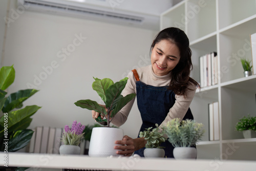 Hobby, asian young woman transplanting in ceramic flower pot, houseplant with dirt or soil on table at home