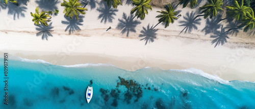 Birds Eye view of a sandy beach with a boat and palm trees  © bardhok