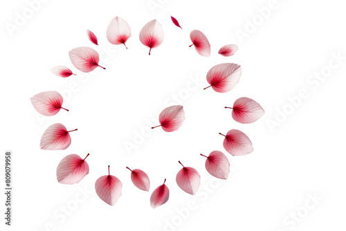 pink petal flower flying floating on white or transparent png background 