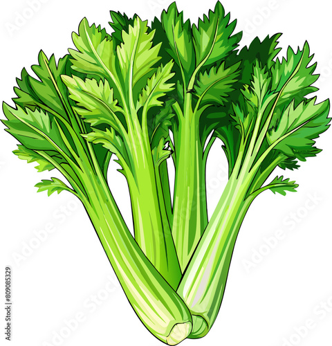  Fresh Green Celery Stalks isolated on transparent background, vector.