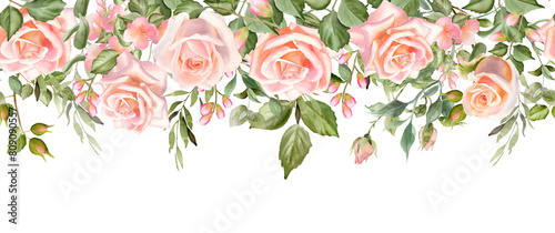 Rose flower repeating border. Watercolor floral illustration on transparent background