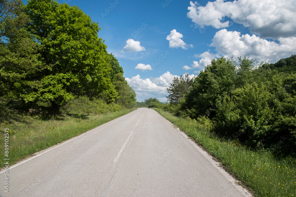 Country road through the green forest and blue sky with white clouds
