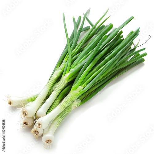 A photo of a bunch of green onions. The green onions are fresh and crisp, with a bright green color. They are tied together with a rubber band. photo