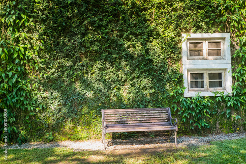 Wooden bench and House building covered with green ivy. photo