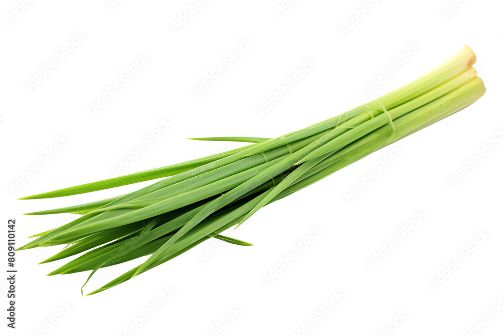 Fresh organic green leek vegetable isolated on white background. Fresh organic green leek vegetable isolated on white background.
