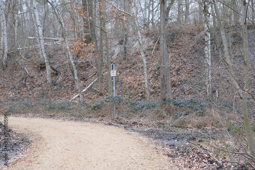 FU 2023-03-19 Erftstadt 25 Ein Weg führt durch den Wald