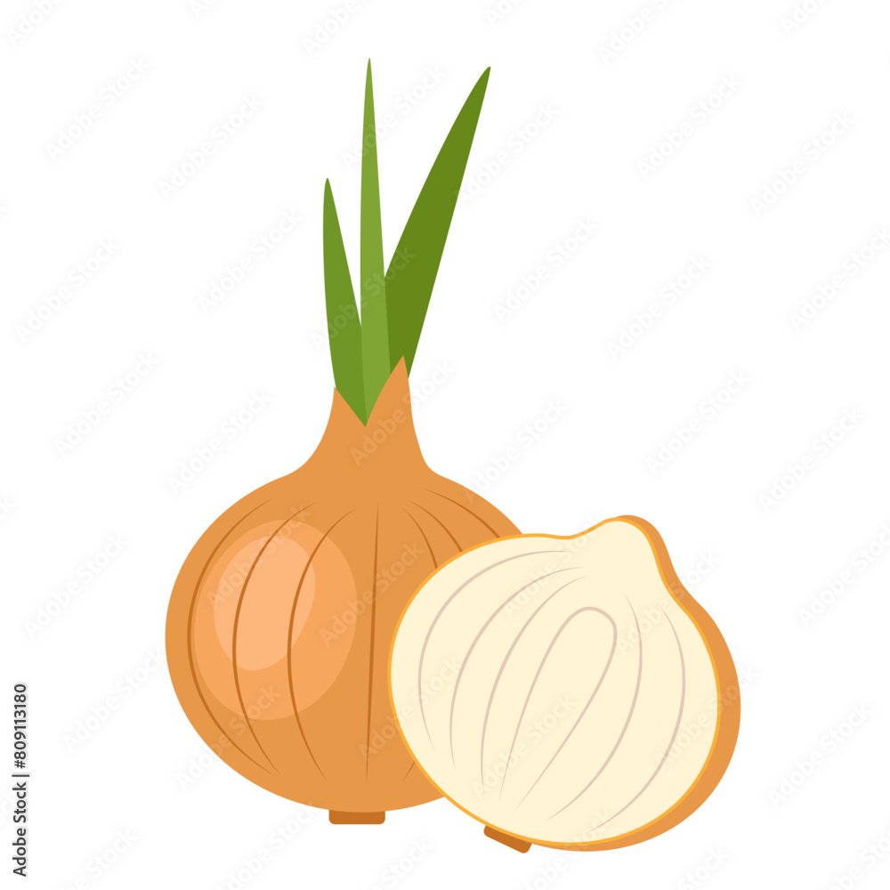 Onion on white background. Vegetable