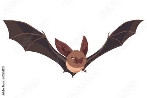 Bat. Concept cartoon bat. Vector clipart illustration isolated on white background