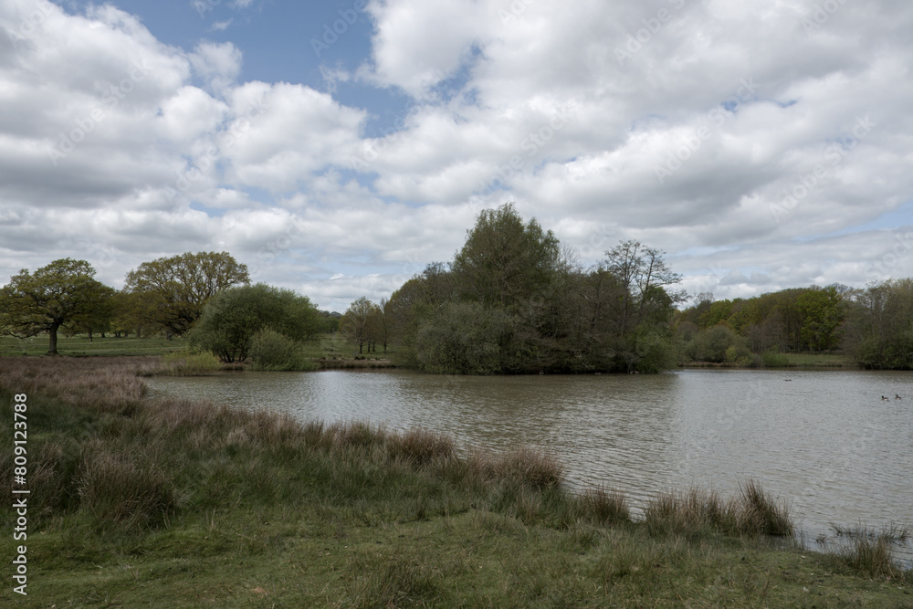 view of the lake at Petworth Park West Sussex England view of the lake at Petworth Park West Sussex England