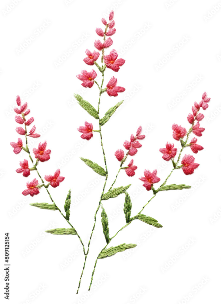 PNG Flower blossom plant embroidery needlework creativity