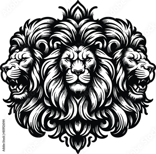Trio Lion head. Premium Design Collection. Vector Illustration.