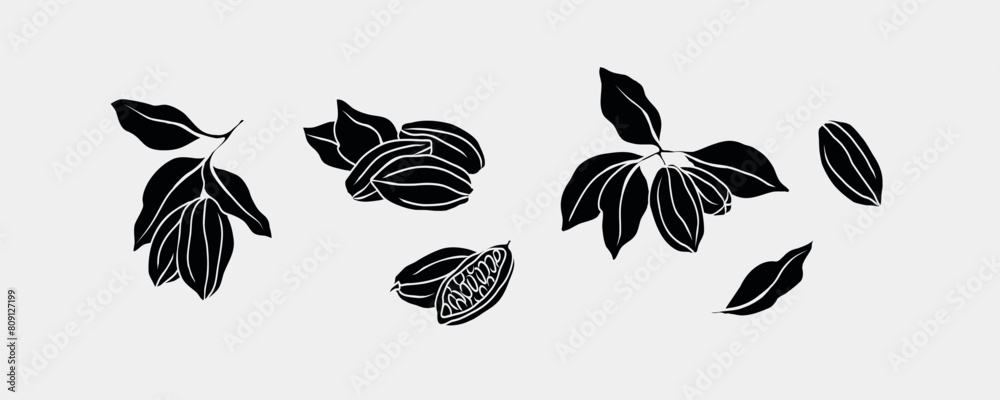 Flat vector cacao collection. Hand drawn cocoa beans Flat vector cacao collection. Hand drawn cocoa beans