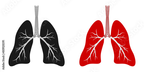 lungs icon set. vector illustration isolated on white background.