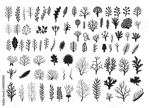 underwater sea plants silhouette vector art illustration on white background, for graphic designs