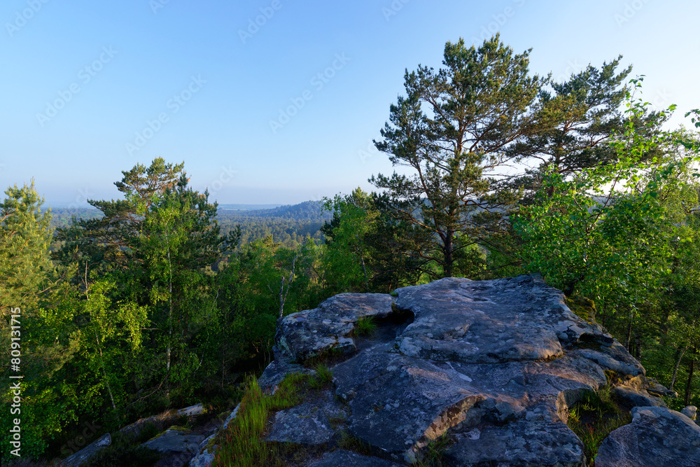 Rock of the mouse panorama in Trois Pignons forest. Massif forest of Fontainebleau Rock of the mouse panorama in Trois Pignons forest. Massif forest of Fontainebleau